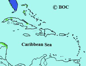 American Robin range