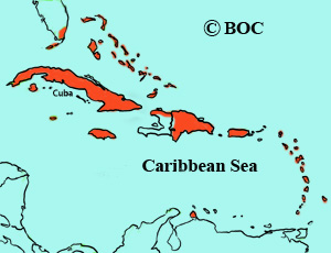 Antillean Nighthawk range