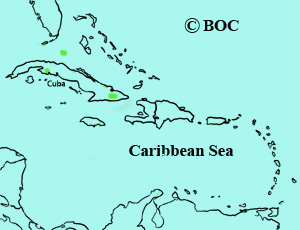 Bachman's Warbler range