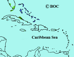 Bahama Swallow Sparrow range
