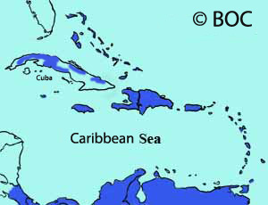 Bananaquit range