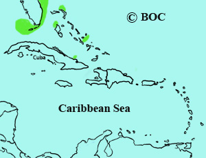 Band-rumped Storm-Petrel range