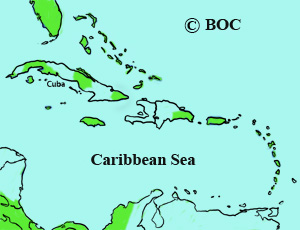Bay-breasted Warbler range