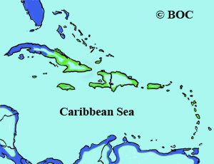 Black-bellied Plover range