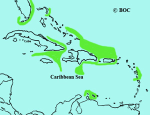 Black-capped Petrel range