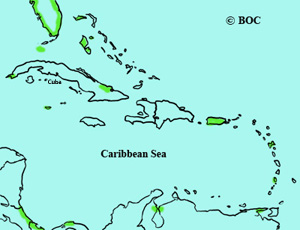 Black-legged Kittiwake range