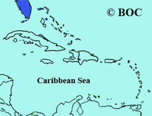Boat-tailed Grackle range map
