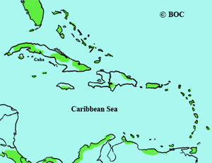 Bobolink range
