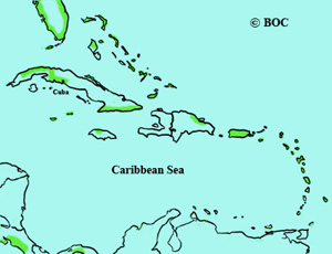 Bonaparte's Gull range
