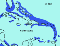 Bridled Tern range