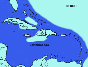 Brown Booby range