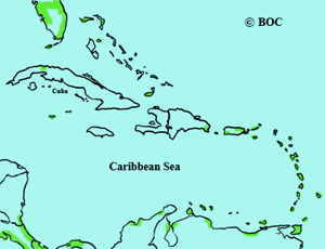 Buff-breasted Sandpiper range