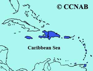 Caribbean Coot range