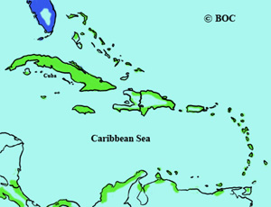 Caspian Tern range