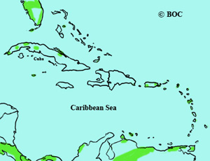 Cerulean Warbler range