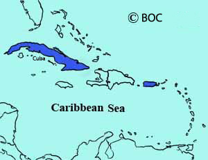 Cuban Martin range map