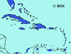 Domesticated Junglefowl range map