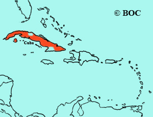 Eastern Meadowlark (Cuban) range map