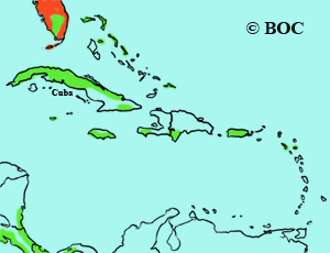 Forster's Tern range