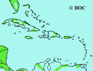 Golden-winged Warbler range