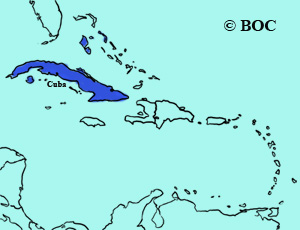 Great Lizard-Cuckoo range