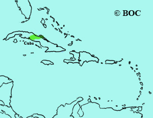 Green-tailed Towhee range