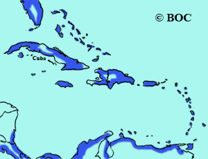 Gull-billed Tern range