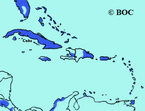 Peafowl range map