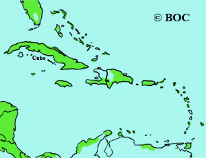 Indigo Bunting range