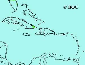 Ivory-billed Woodpecker range