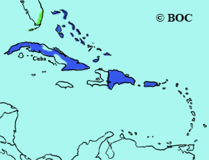 Key West Quail-Dove range