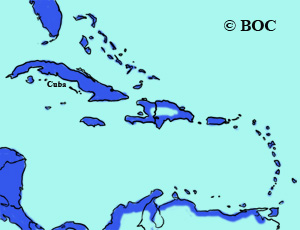 Laughing Gull range
