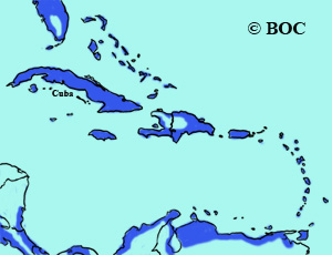 Least Tern range