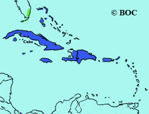 Loggerhead Kingbird range