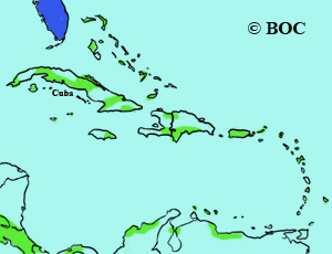 Long-billed Dowitcher range