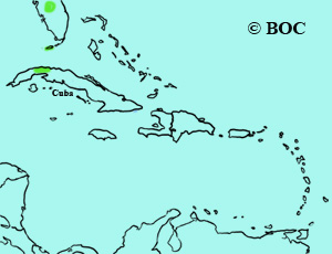 Long-eared Owl range