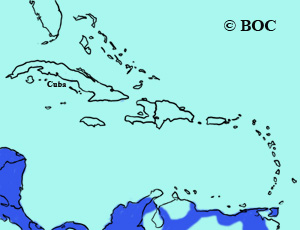 Muscovy Duck range map