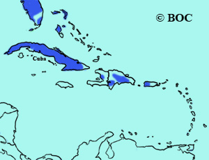 Northern Bobwhite range