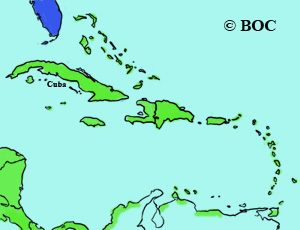 Northern Parula range