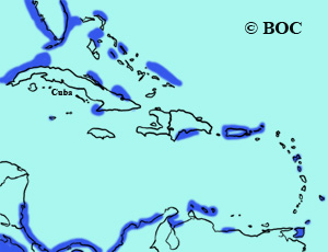 Parasitic Jaeger range