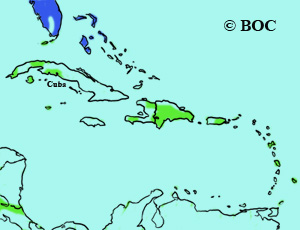 Pine Warbler range
