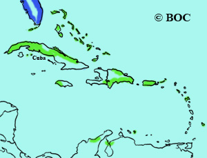 Piping Plover range