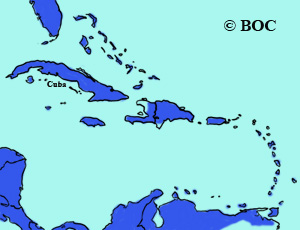 Purple Gallinule range