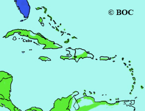 Purple Martin range map