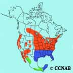 Purple Martin range map