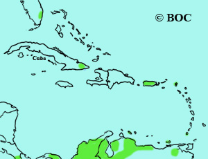 Red-and-green Macaw range