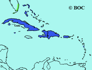 Red-legged Thrush range