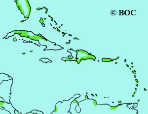Roseate Tern range