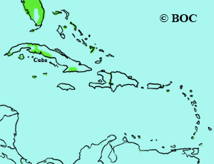 Ruby-crowned Kinglet Range