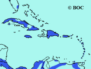 Ruddy Quail-Dove range